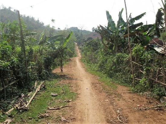 https://media-cdn.tripadvisor.com/media/photo-s/0e/ff/05/e4/road-in-countryside.jpg
