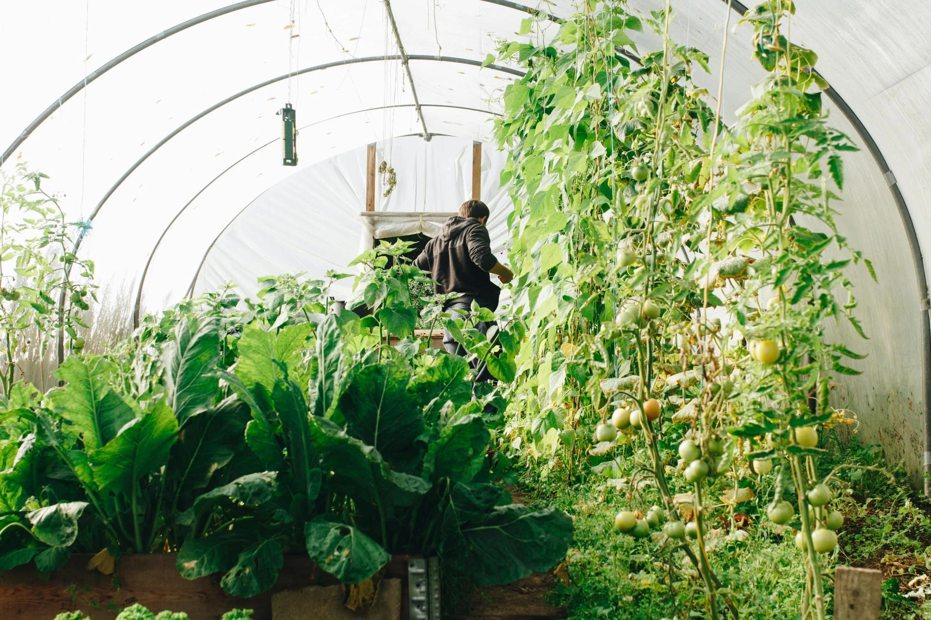 potager project