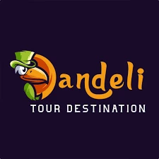 dandelitourdestination