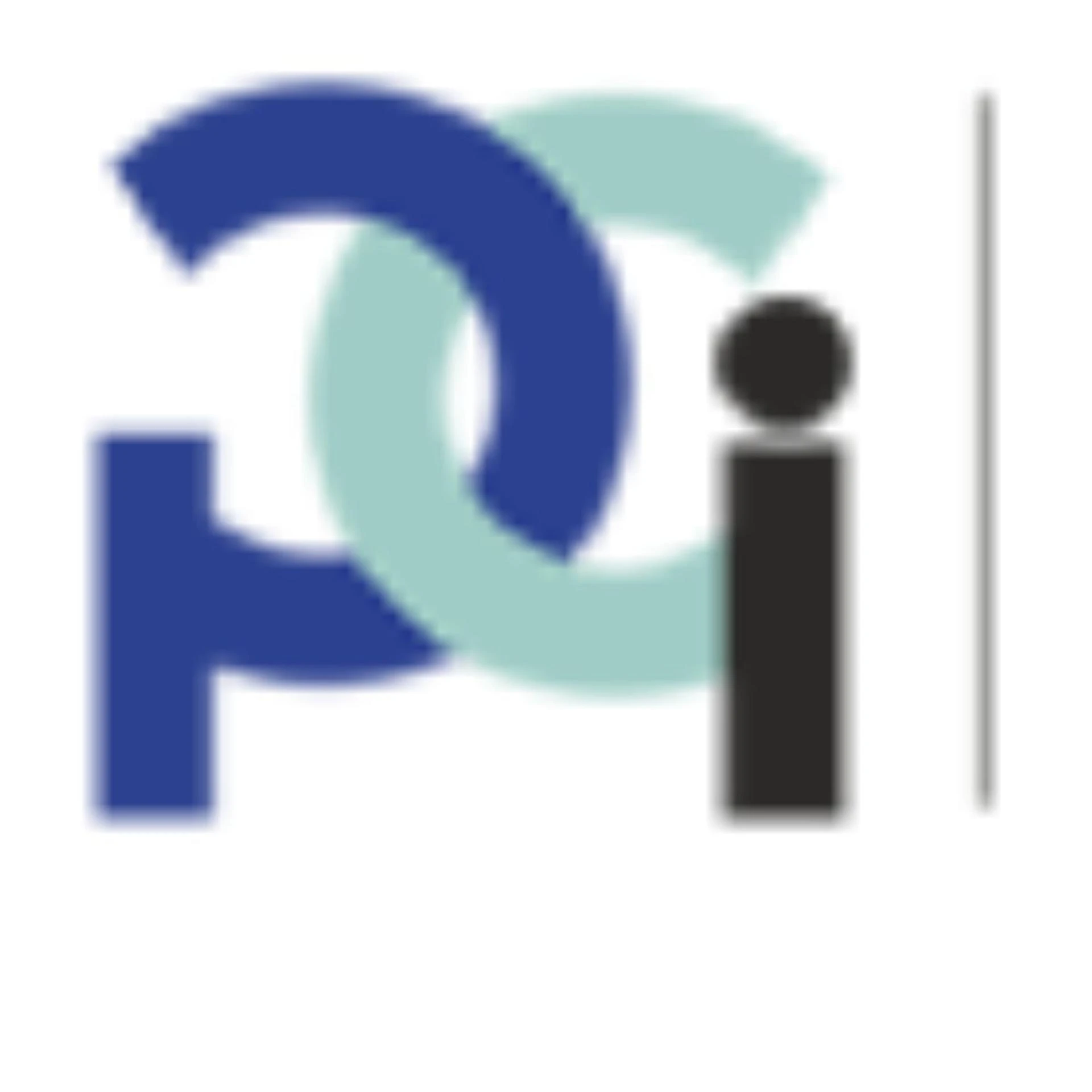 Premier Consultancy and Investigation Limited