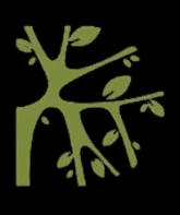 The Banyan Studio