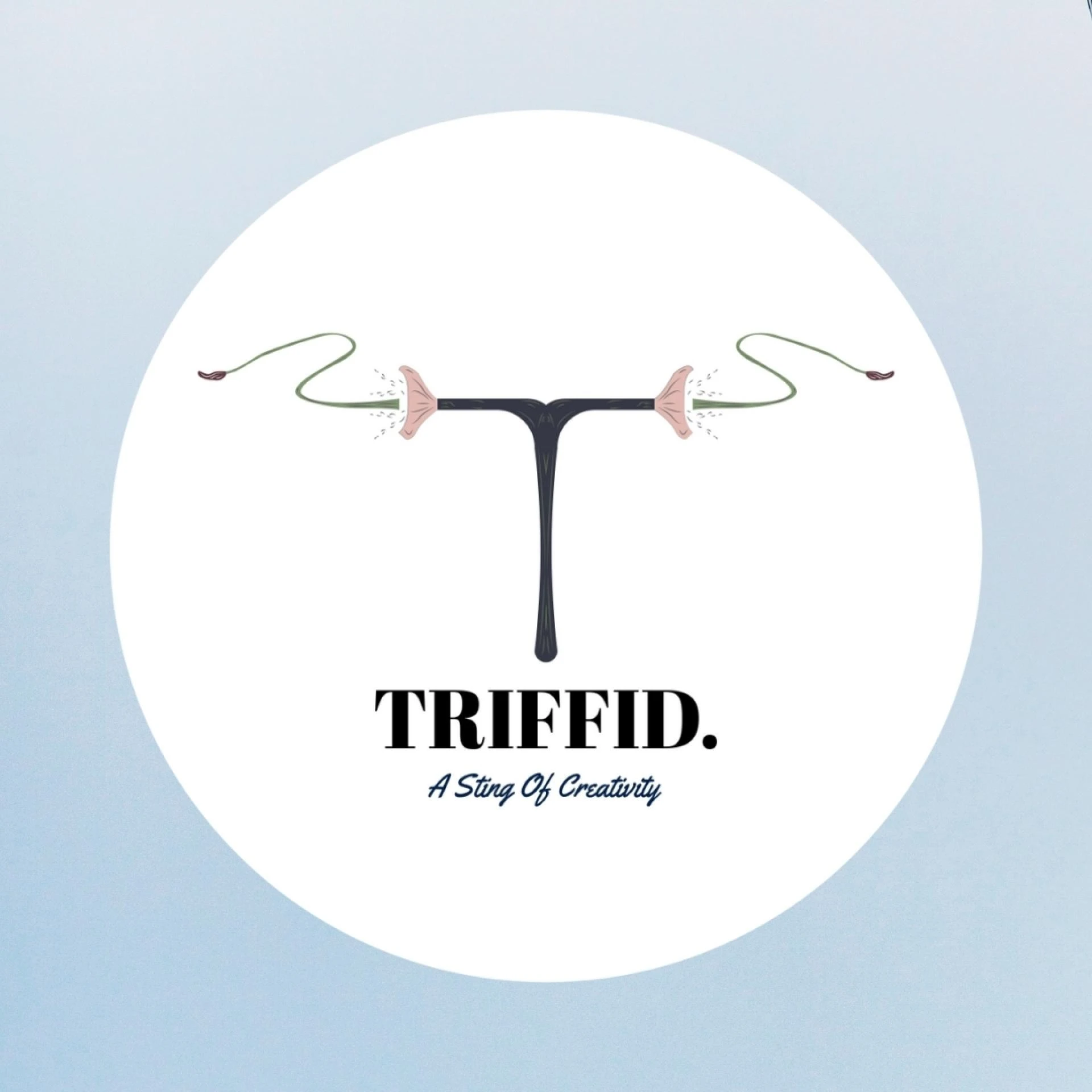 Triffidit Marketting