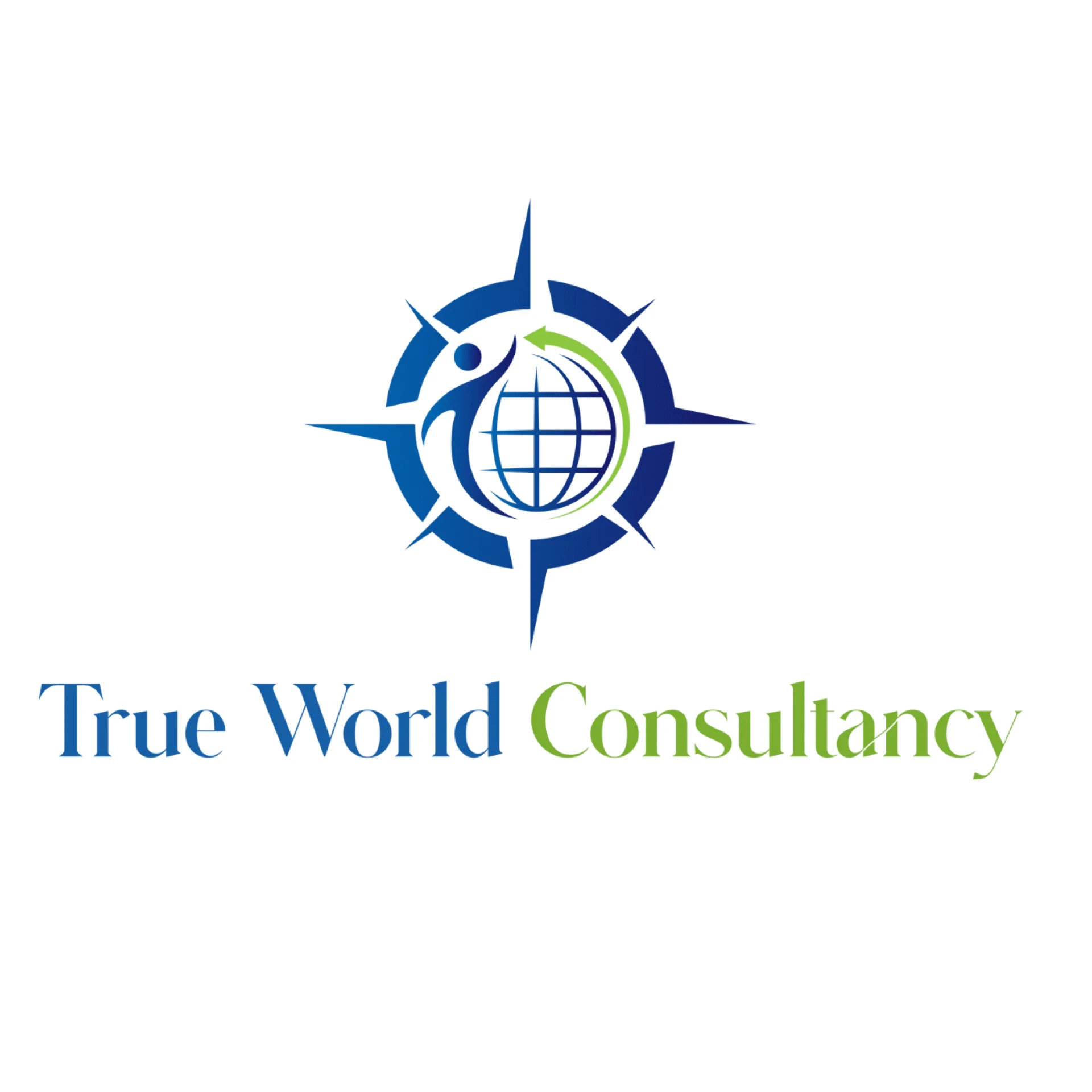 True World Consultancy