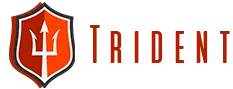 Trident Shipping and Trading PTE LTD