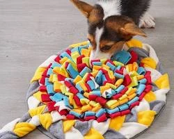 Snuffle Mats