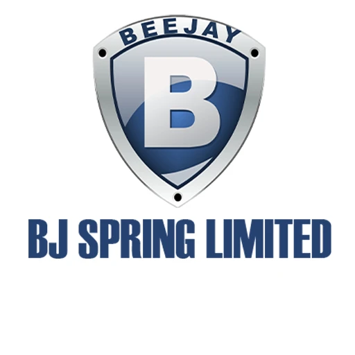 BJ Spring Limited