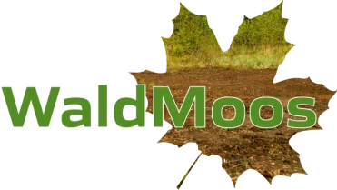 Wald Moos