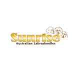 Sunrise Australian Labradoodles