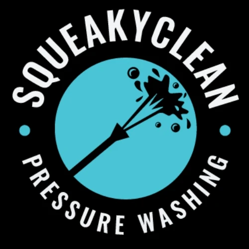 Squeaky Clean pressure washing