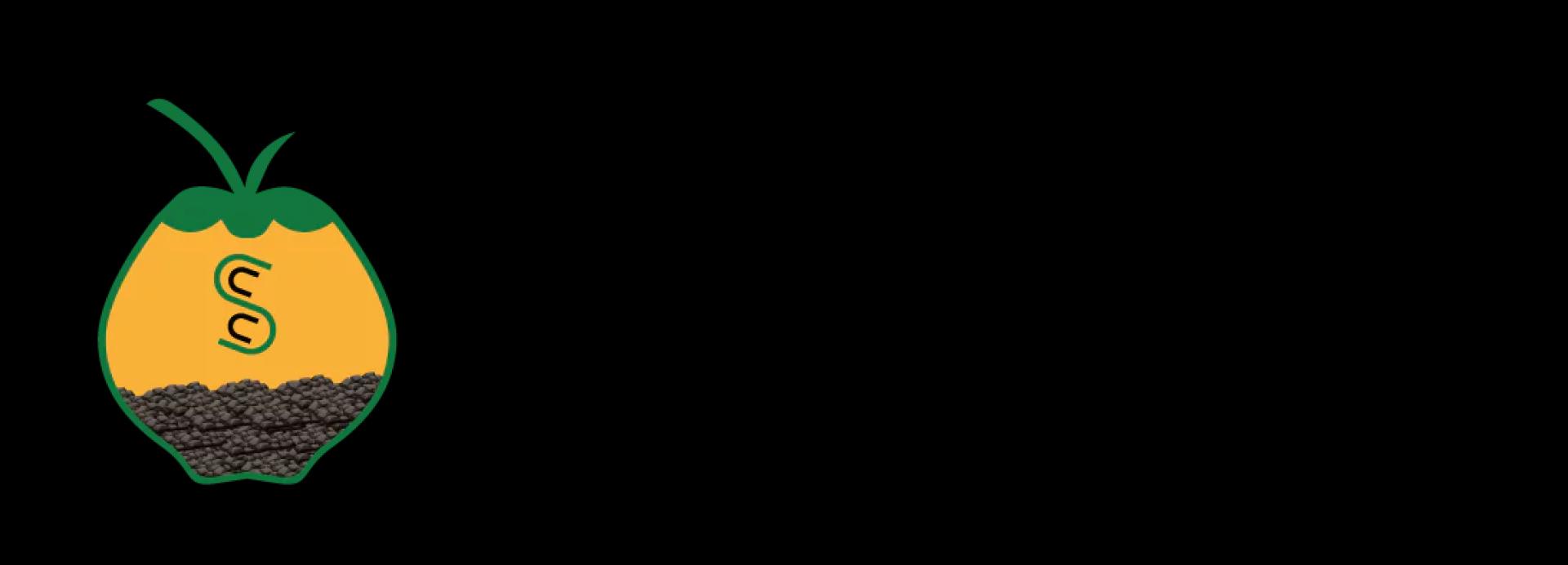 Southern Carbon and Chemicals