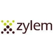 Zylem