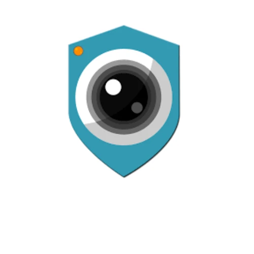 Video Comm Security Cameras