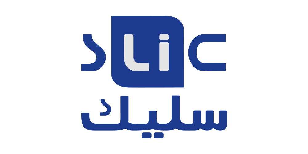 Slic Store