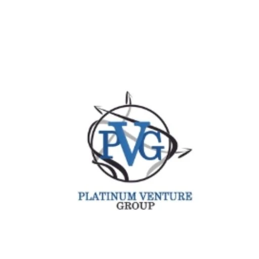 Platinum Venture Group