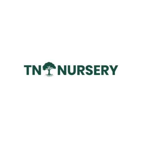 TN Nursery