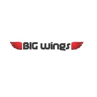 Big Wings LLC